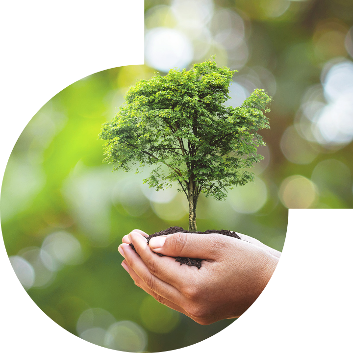 关怀人类、文化、环境与社会